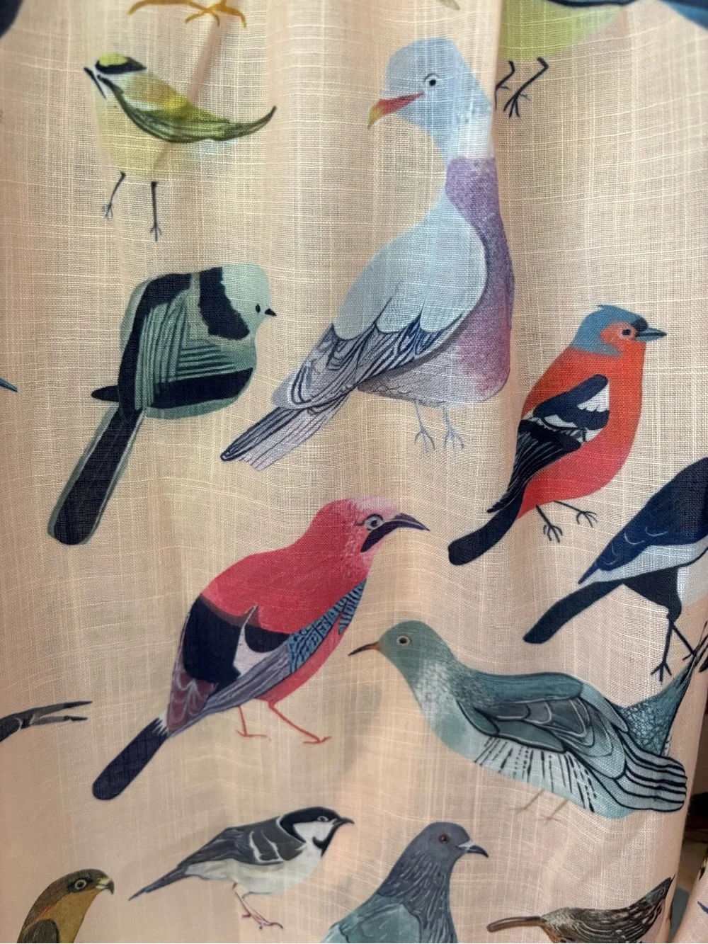 For Bird Lovers! Super Fun Women’s Beige Bird-Print Button-Up Shirt, Medium - Picture 3 of 16